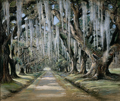 Avenue of the Oaks